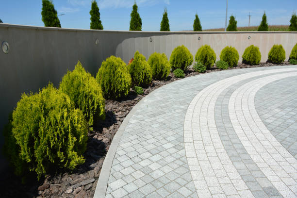 Best Professional Driveway Pavers  in Owensboro, KY